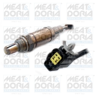 Oxygen Sensor